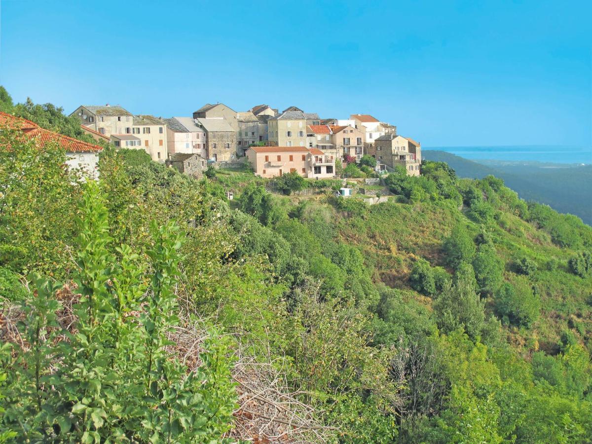 Holiday Home Rutili - Josée - CTN255 Cervione Esterno foto