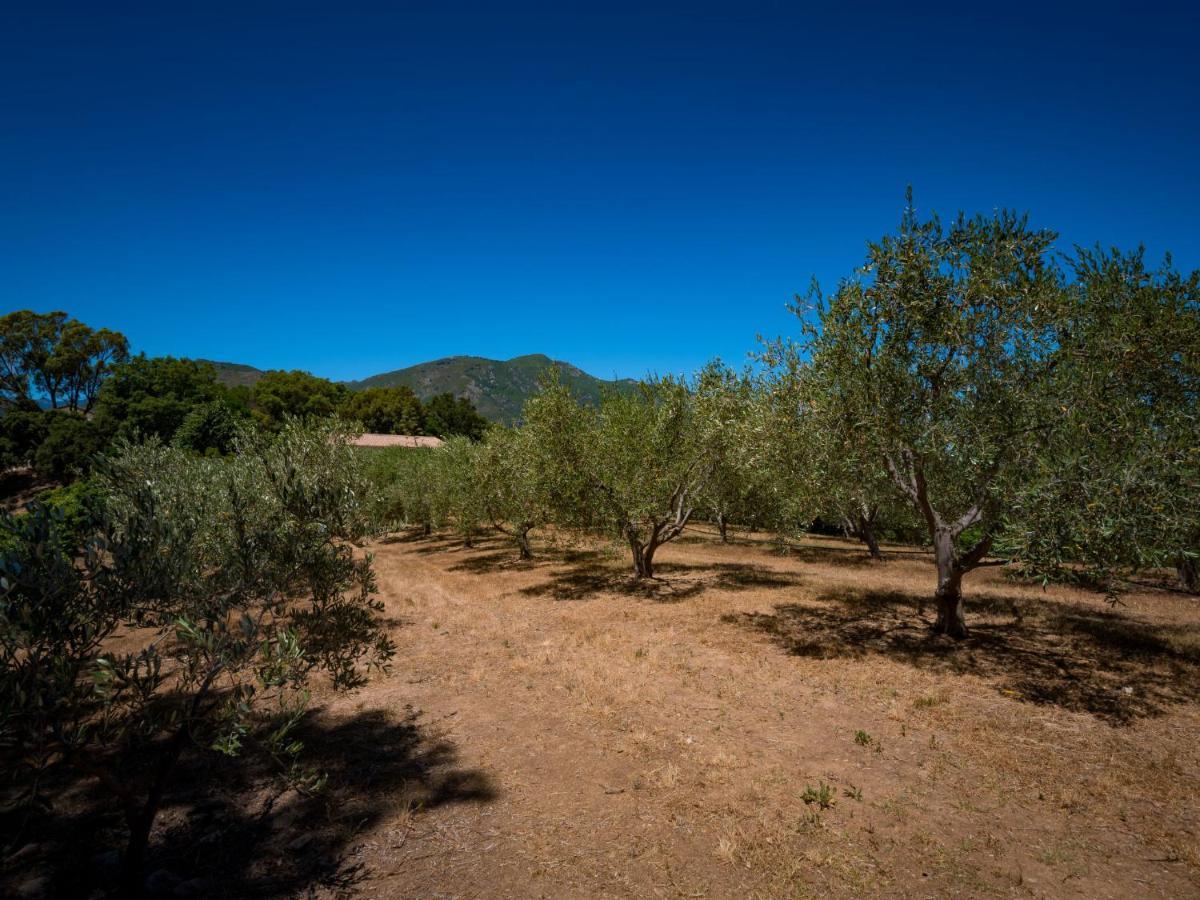 Holiday Home Rutili - Josée - CTN255 Cervione Esterno foto